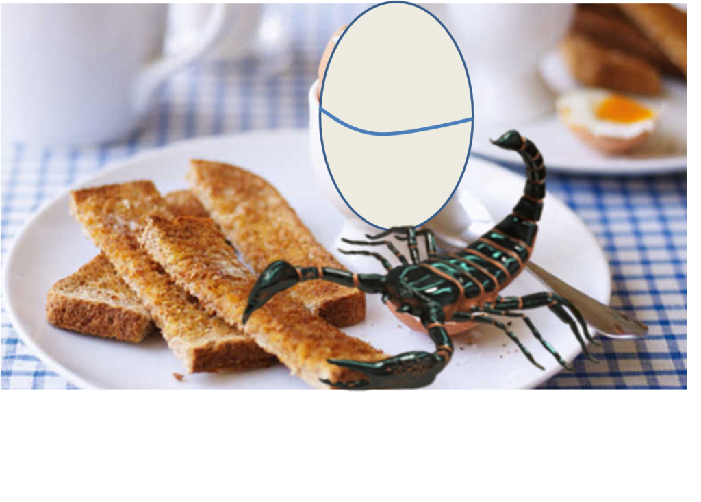egg & scorpion